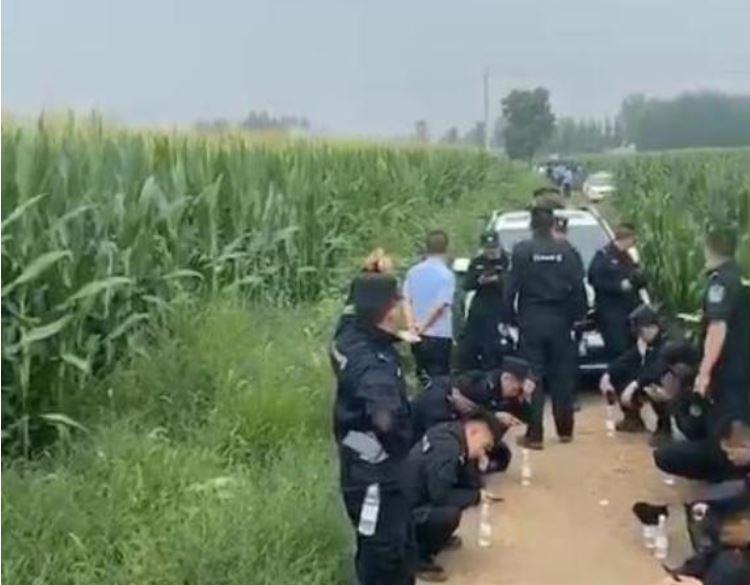河北任丘绑架案最新进展，小红书爆料持续更新