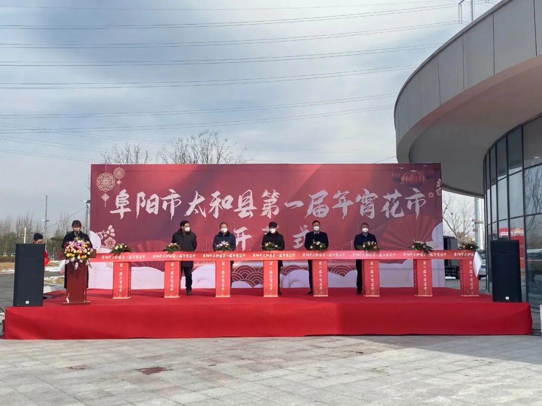阜阳太和的新动态，发展辩论热烈展开