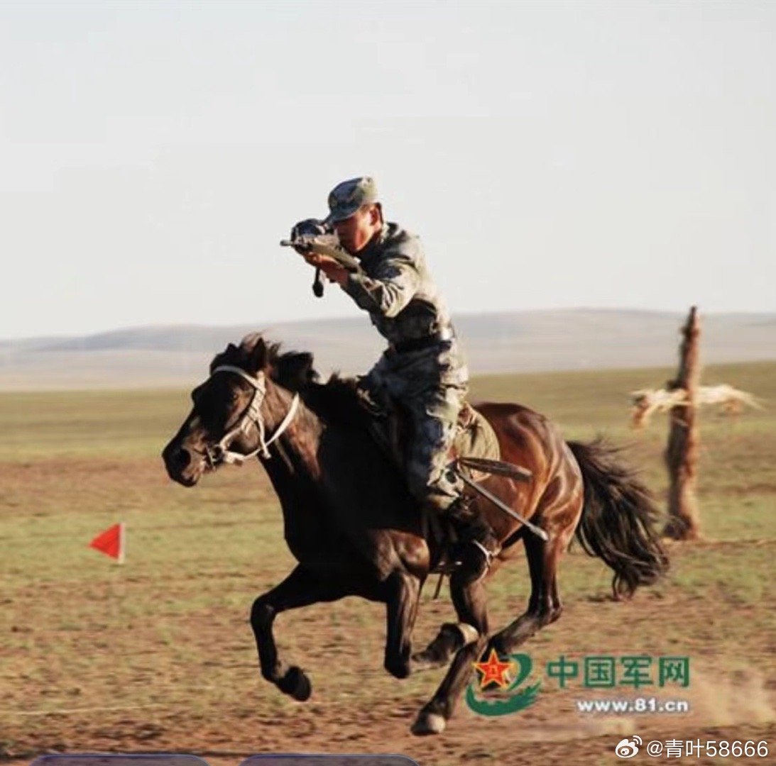 最新骑兵动态揭秘，马背上的温情故事