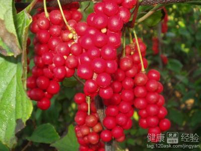 古玩 第77页