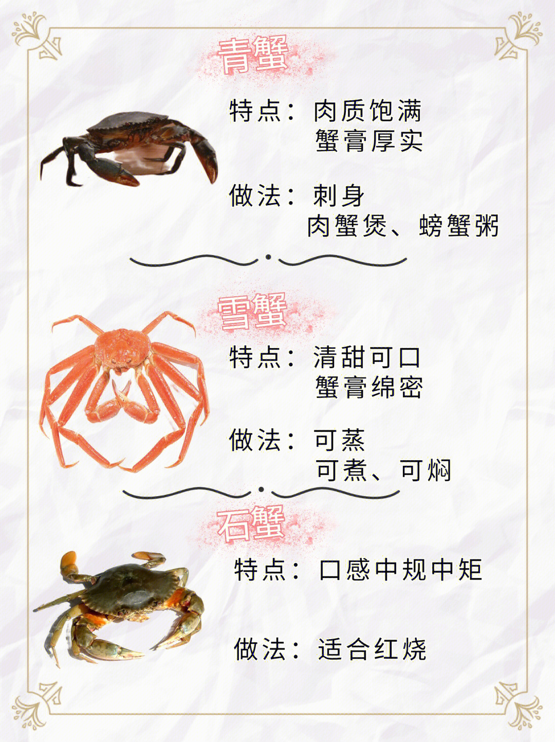 最新蟹种介绍，蟹趣与友缘的探秘之旅