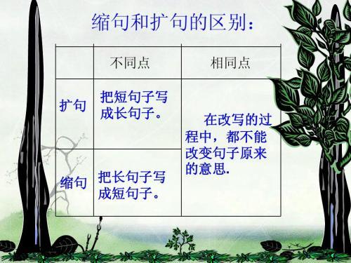 比赛进行中，自然美景的探索之旅扩句版