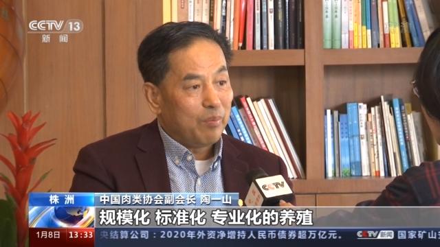 古玩 第61页