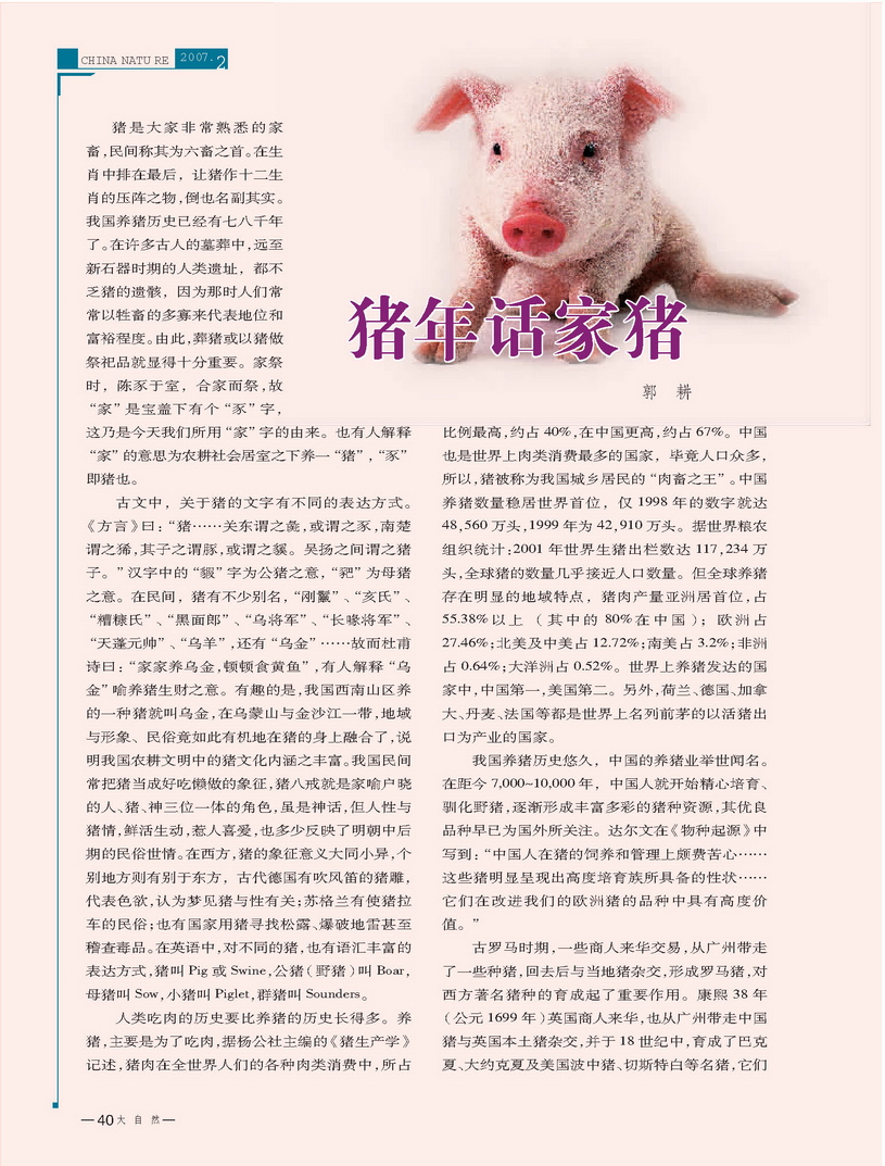 淮左名猪最新更新章节获取指南，初学者与进阶用户适用攻略