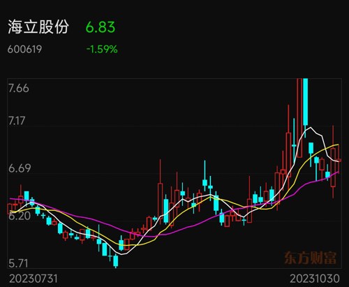 海立股份股价最新动态，多维度视角下的观察与深度解析