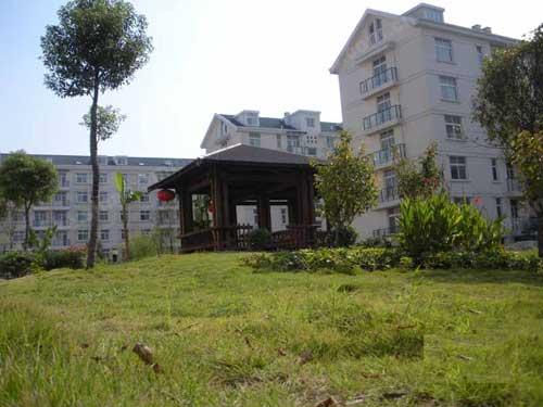 白兰丽舍乐府最新售价，时代的印记与地位的彰显体现当代价值