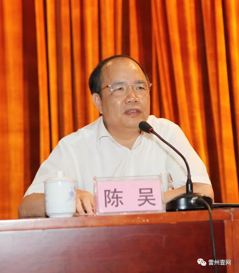 廉江市新任市长，领航时代的领导者