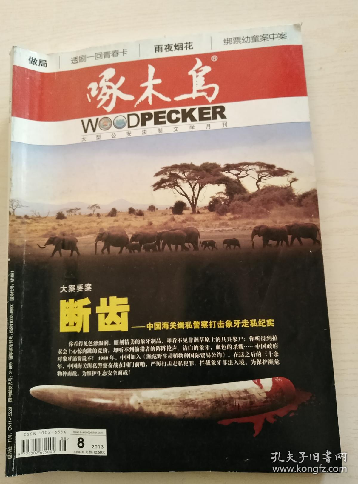 啄木鸟影音先锋最新指南，安装与使用详解
