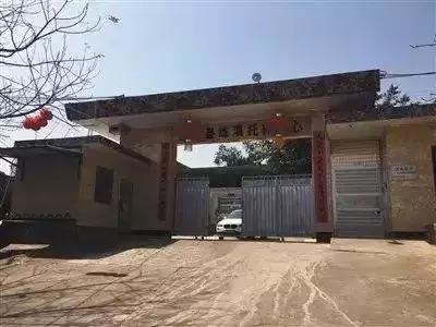 新丰科技革新引领未来生活潮流，最新消息汇总