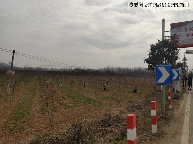 南阳安皋镇最新发展规划概览