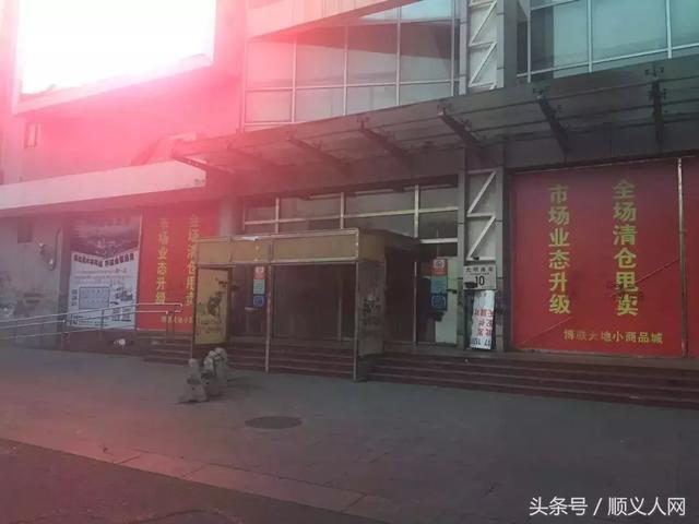 顺义博联市场最新动态，自然美景的探索之旅