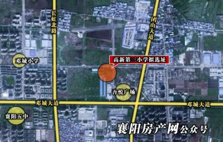 艺术品 第26页